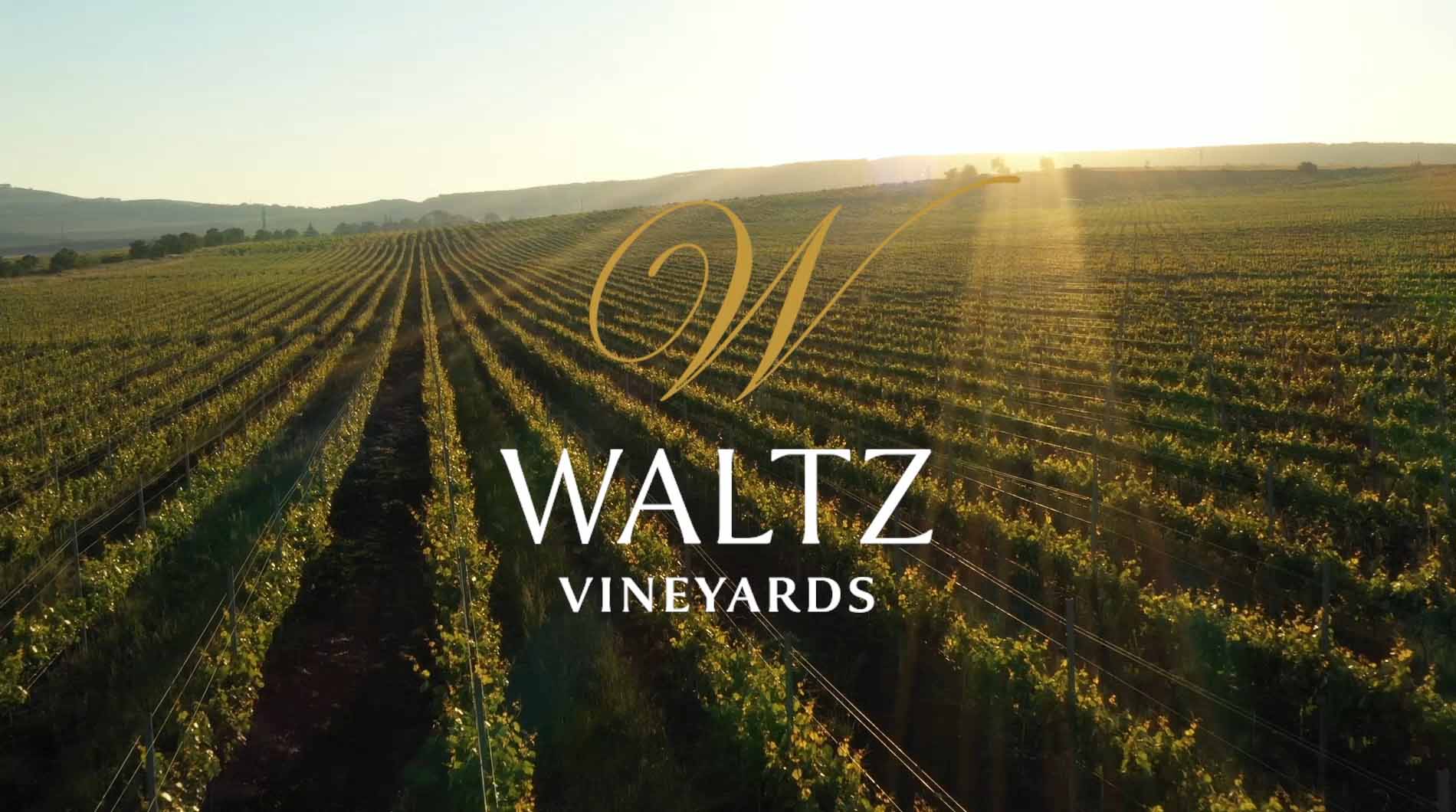 Waltz Vineyards - Fig Industries