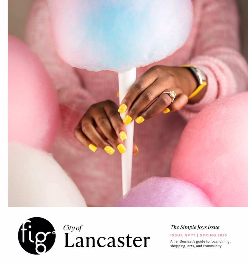 Fig Magazine current issue